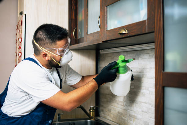 Best Affordable Pest Control Services  in Auburn, NE