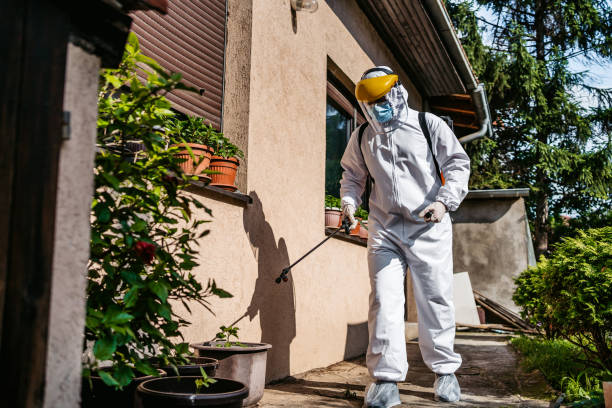 Best Affordable Pest Control Services  in Auburn, NE