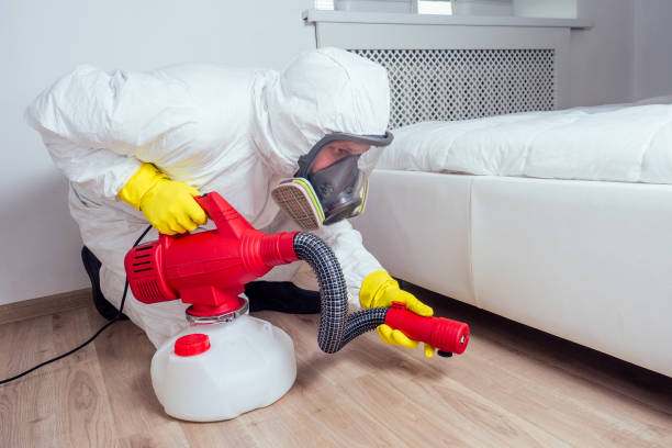 Best Best Pest Control Companies  in Auburn, NE