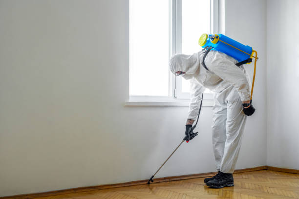 Best Residential Pest Control  in Auburn, NE